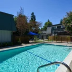 8a489b8738202fdd0a102f3cf86161e5-cc_ft_960